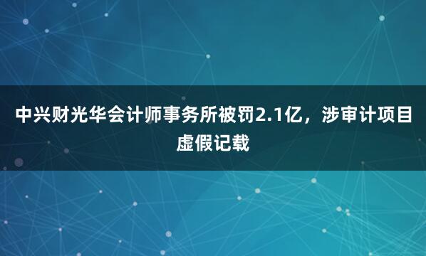 中兴财光华会计师事务所被罚2.1亿，涉审计项目虚假记载